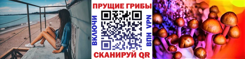 Псилоцибиновые грибы MAGIC MUSHROOMS  Купить где  Голицыно 